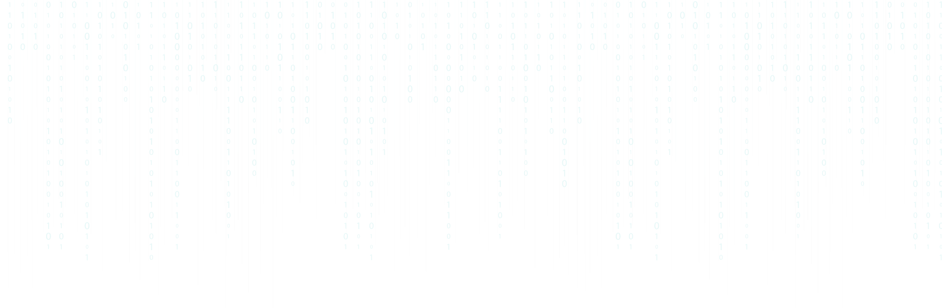 Senior {Full Stack} Web & App Developer
